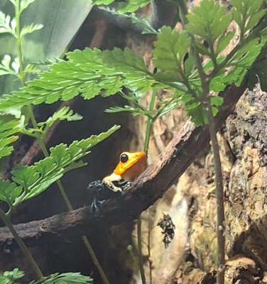 Skärmbild 2025-10-19 072616.png