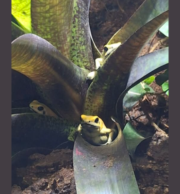 Skärmbild 2025-10-25 091552.png