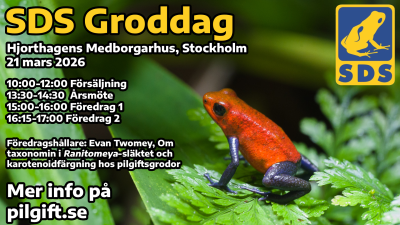 Groddag-Stockholm (1).png