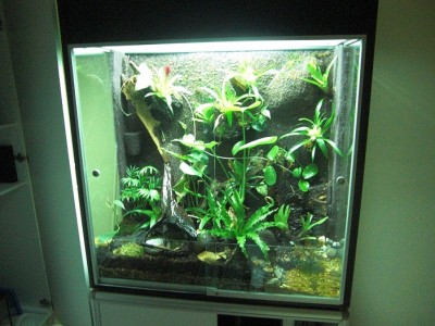 så här ser det ut inuti, mossan har börjat ta sig