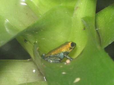 IMG_3785 - Kopia.JPG