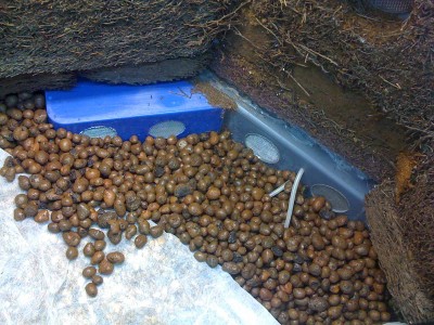 j_0035.jpg (203.17 KiB) Visad 6546 gånger Den blå och gråa plasten till höger rymmer en doppvärmare och pump. Slangarna som sticker ut går till luftstenar under substratet.