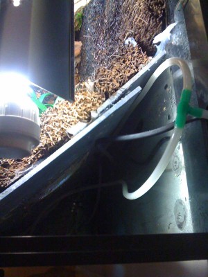 j_0050.jpg (128.76 KiB) Visad 6546 gånger Syns lite otydligt men det här är det bakre högre hörnet. En PVC-skiva täckt med xaxim. Tanken är att jag ska komma åt doppvärmaren och pumpen utan att behöva riva ut delar av inredningen.