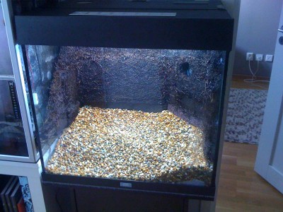 j_0039.jpg (168.44 KiB) Visad 6543 gånger Lecan är nu helt täckt av akvariegrus.