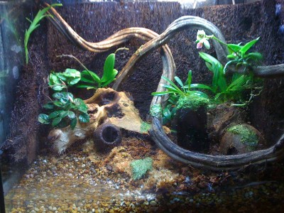 j_0048.jpg (199.91 KiB) Visad 6543 gånger Planterat men inte klart.